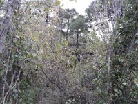 2018-11-12 15.41.09 (Grand)